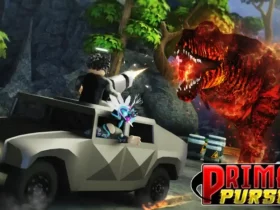 Primal Pursuit Codes
